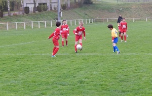 Fougerolles - Vallée du Breuchin. 05 avril